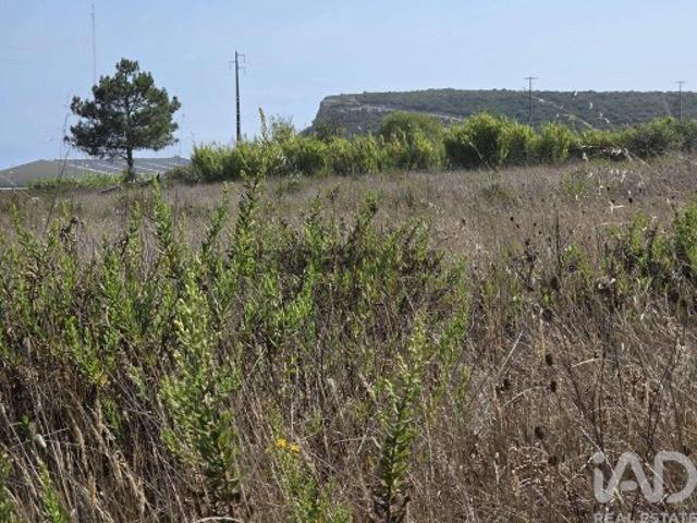 Terreno venda em Castelo, Sesimbra