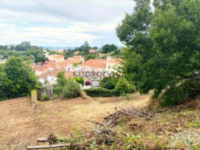 Terreno venda em Quinta do Castanheiro, Sintra