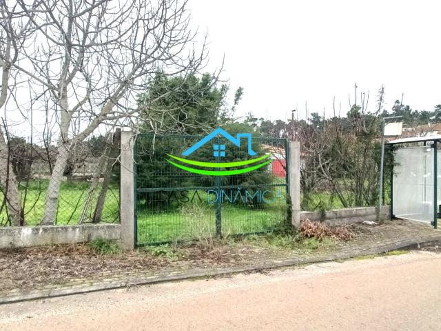 Terreno venda em Senhor das Almas, Soure