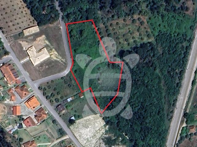 Terreno venda em Senhor das Almas, Soure