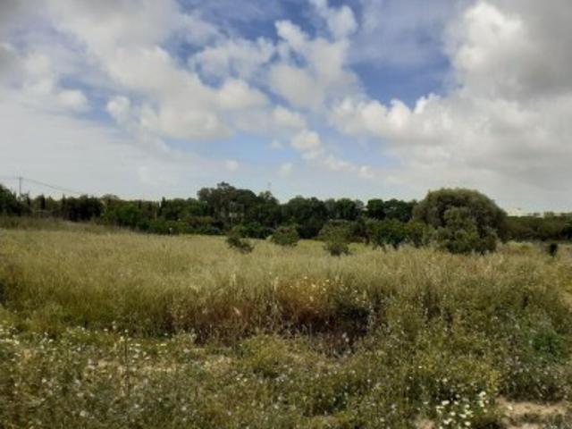 Terreno venda em Tavira, Faro