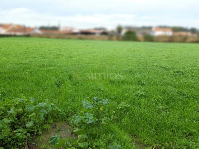 Terreno venda em Vila Do Conde, Porto