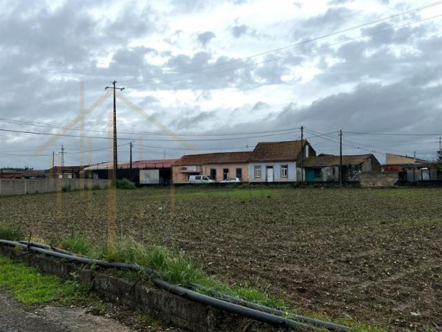 Terreno venda em Válega, Ovar