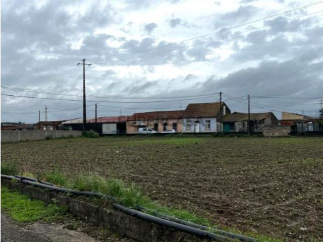 Terreno venda em Válega, Ovar