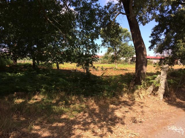 Terreno venda em Bugim, Valença