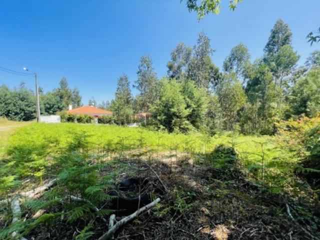 Terreno venda em Caminha Terreno venda em Caminha