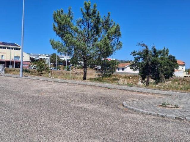 Terreno venda em Castelo Branco, Vila De Rei