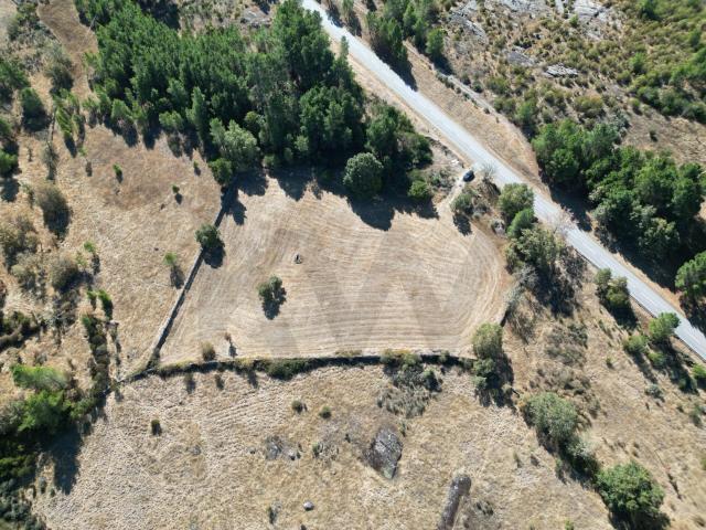 Terreno venda em Guarda