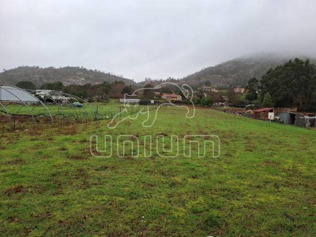 Terreno venda em Arga De Baixo, Viana Do Castelo