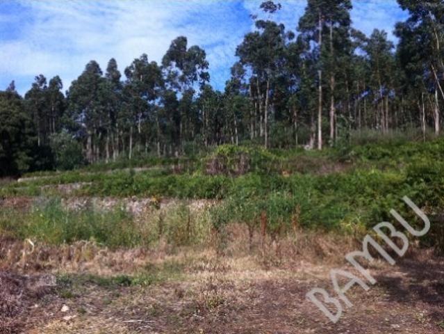 Terreno venda em Caminha, Vilar de Mouros Terreno venda em Caminha, Vilar de Mouros