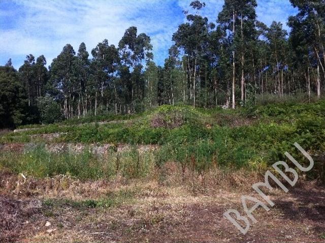 Terreno venda em Arga De Baixo, Viana Do Castelo