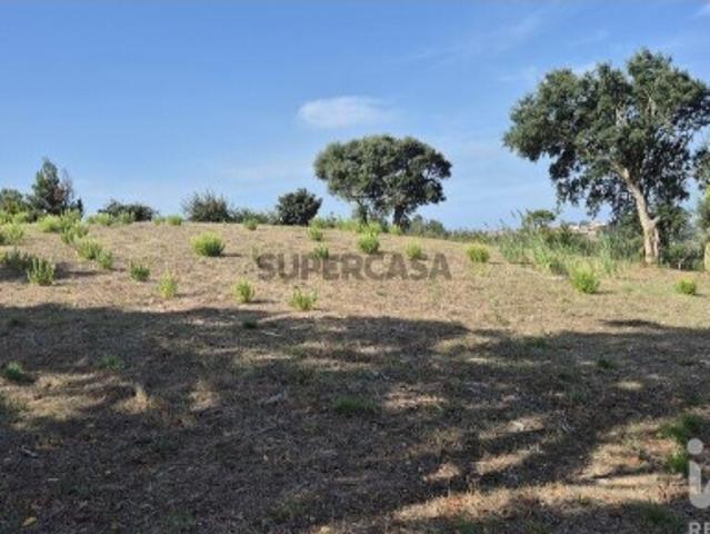 Terreno venda em Alcobaça, Leiria