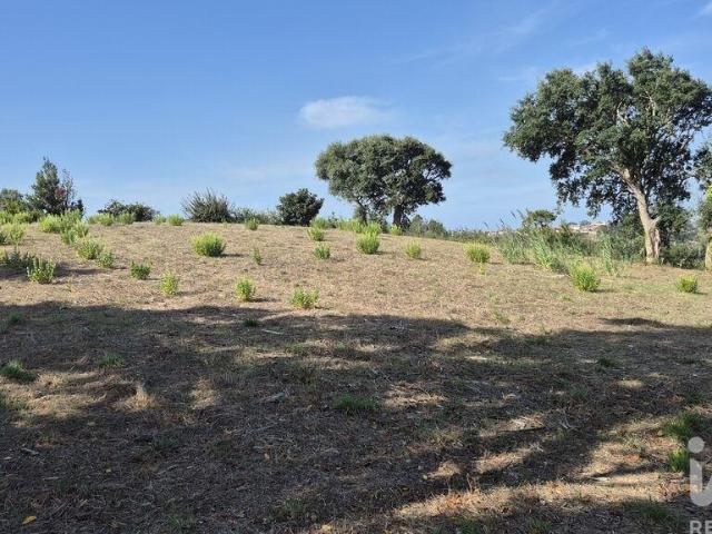 Terreno venda em Vimeiro, Alcobaça