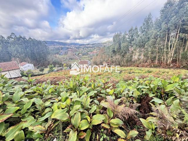 Terreno venda em Vinhós, Fafe