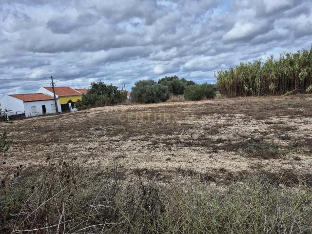 Terreno venda em Figueira dos Cavaleiros, Ferreira Do Alentejo