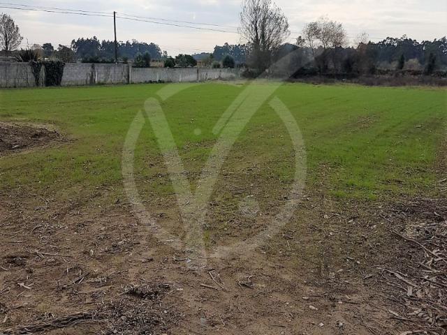 Terreno venda em Esposende, Braga