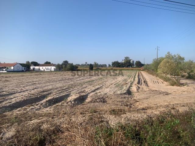 Terreno venda em Salvaterra De Magos, Santarém