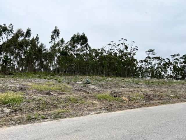 Terreno venda em Caldas Da Rainha