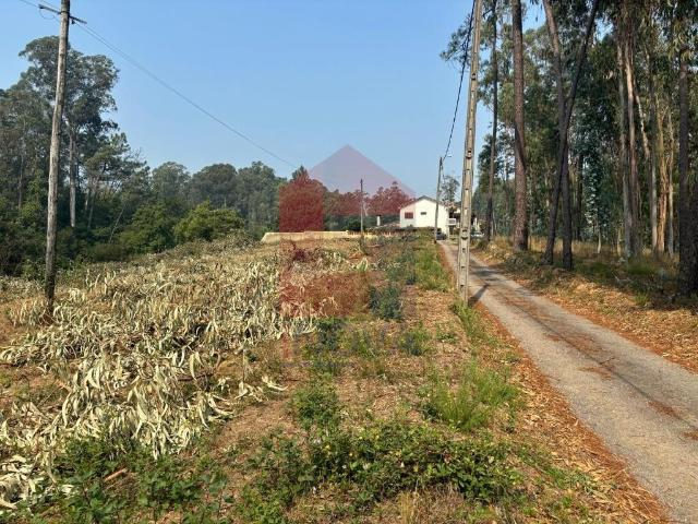 Terreno venda em Freiriz, Freiriz