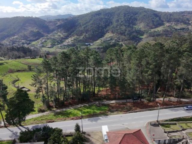 Terreno venda em Amarante, Porto