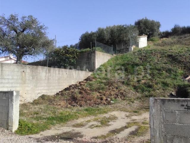 Terreno venda em Castelo Branco, Aldeia Nova Do Cabo