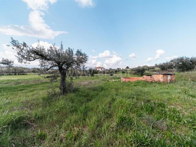 Terreno venda em Castelo Branco, Aldeia Nova Do Cabo