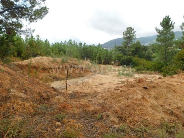 Terreno venda em Nelas, Viseu