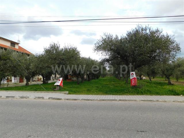 Terreno venda em Castelo Branco, Aldeia Nova Do Cabo