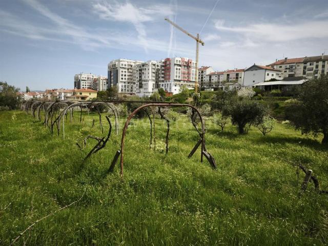 Terreno venda em Castelo Branco, Aldeia Nova Do Cabo