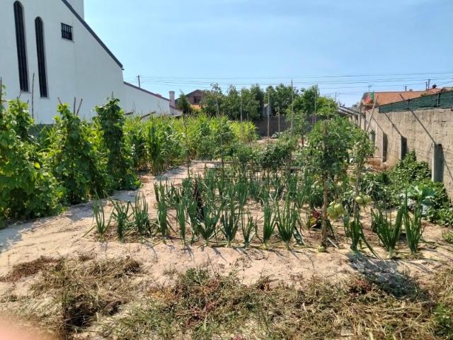 Terreno venda em Ílhavo, Aveiro