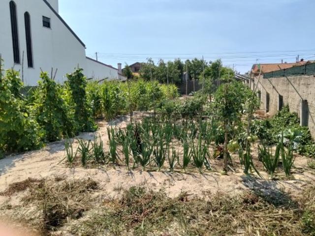 Terreno venda em Ílhavo, Aveiro