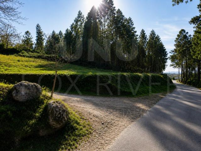 Terreno venda em Mourel, Valença