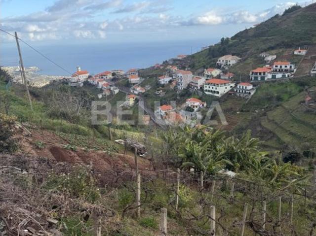Terreno venda em Câmara De Lobos, Ilha Da Madeira