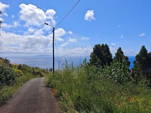 Apartamento venda em Santa Cruz, Ilha Da Madeira