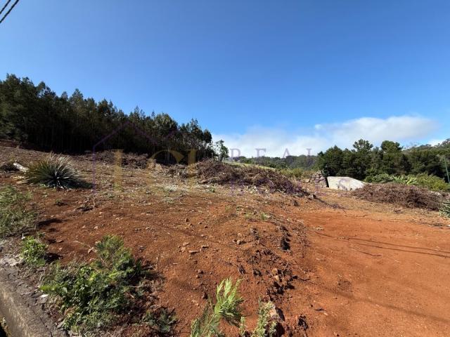 Terreno venda em Santa Cruz, Ilha Da Madeira