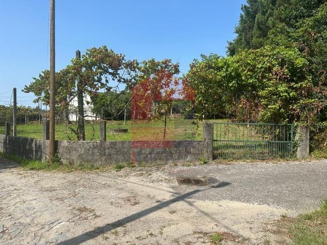 Terreno venda em Geme, Prado (São Miguel)