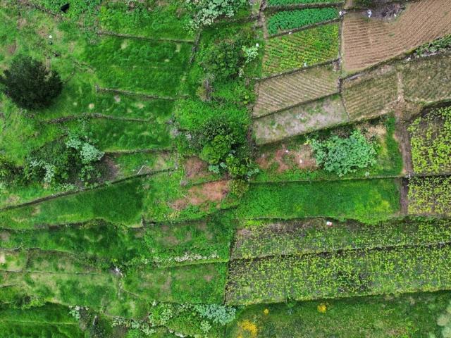 Terreno venda em São Vicente, Ilha Da Madeira