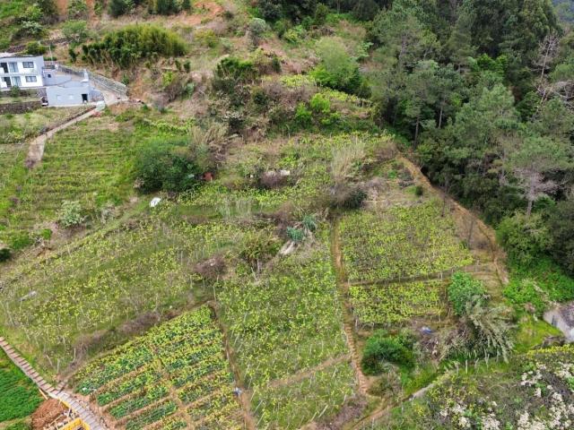Terreno venda em São Vicente, Ilha Da Madeira
