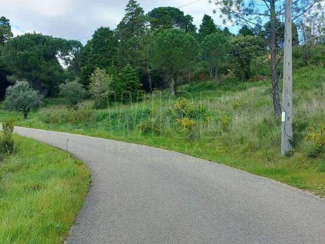 Terreno venda em Coimbrã, Antanhol
