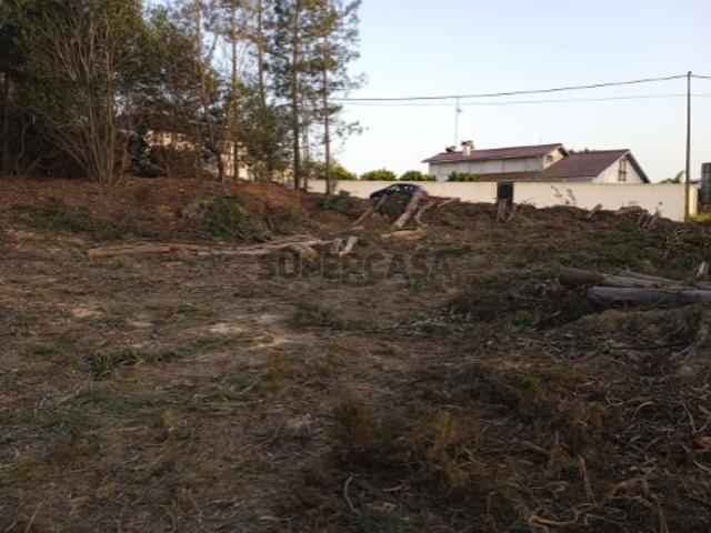 Terreno venda em Leiria