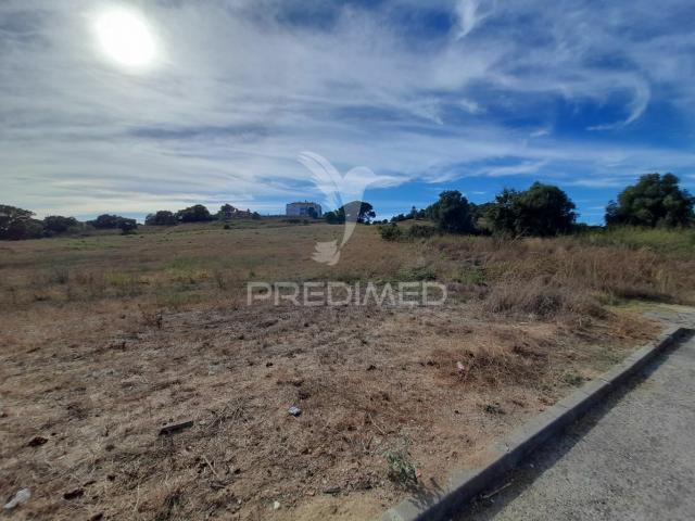 Terreno venda em Santarém