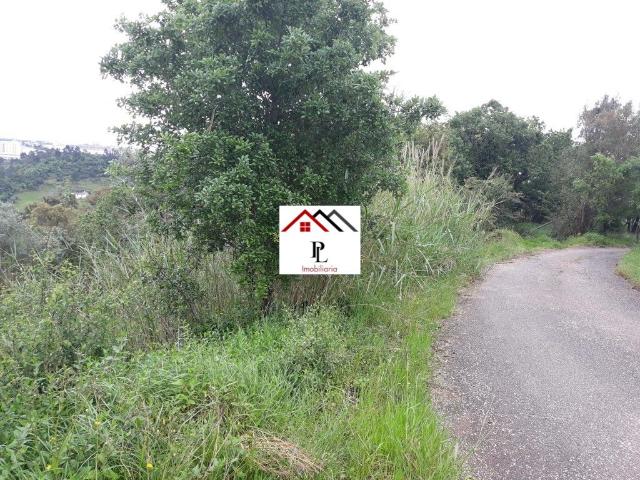 Terreno venda em Coimbrã, Sé Nova