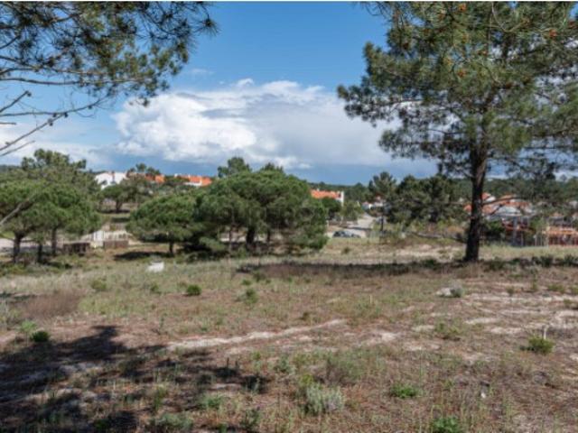Terreno venda em Grândola, Setúbal