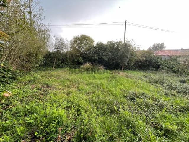 Terreno venda em Casal dos Matos, Leiria