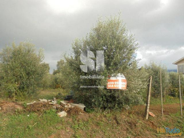 Terreno venda em Lousã, Coimbra