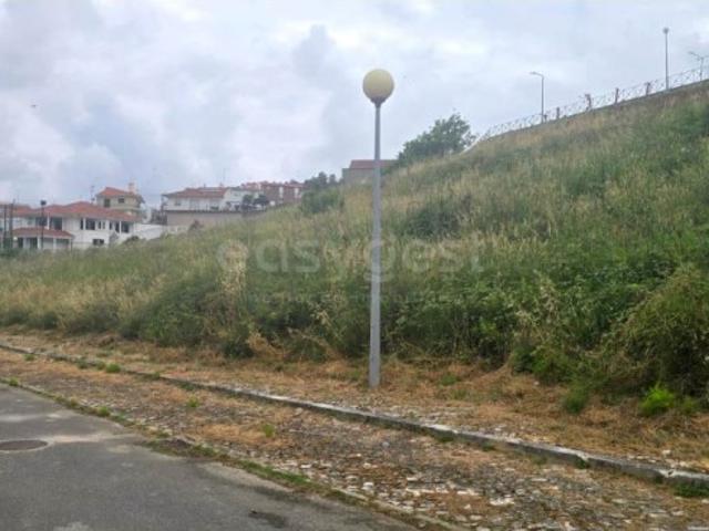 Terreno venda em Alcobaça, Leiria