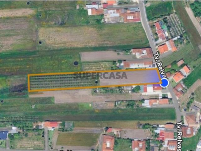 Terreno venda em Oliveira do Bairro, Aveiro