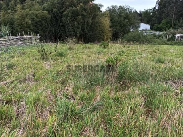 Terreno venda em Ílhavo, Aveiro