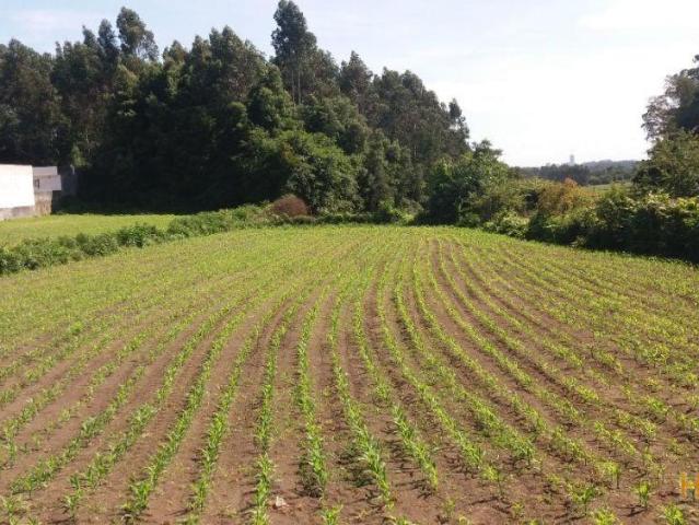 Terreno venda em Maia, Porto