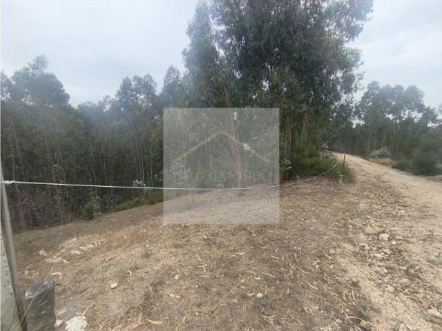 Terreno venda em Marecos